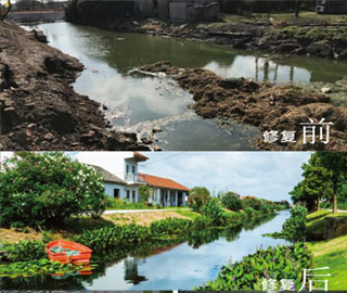 上海书院镇五号港黑臭河道生态治理